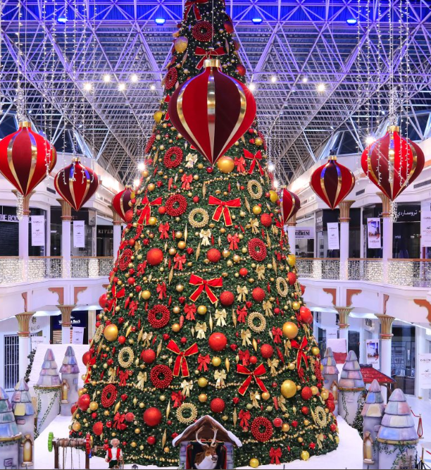 Christmas Travel Package